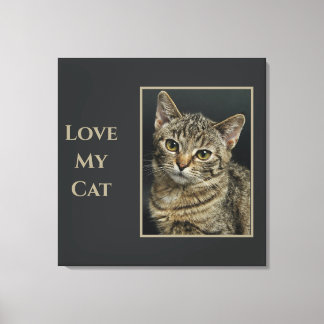 Impressão Em Tela Sepia Ama meu Gato com Foto