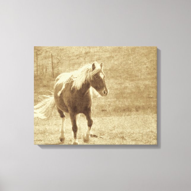 Impressão Em Tela Sepia Pinto Pony (Frente)