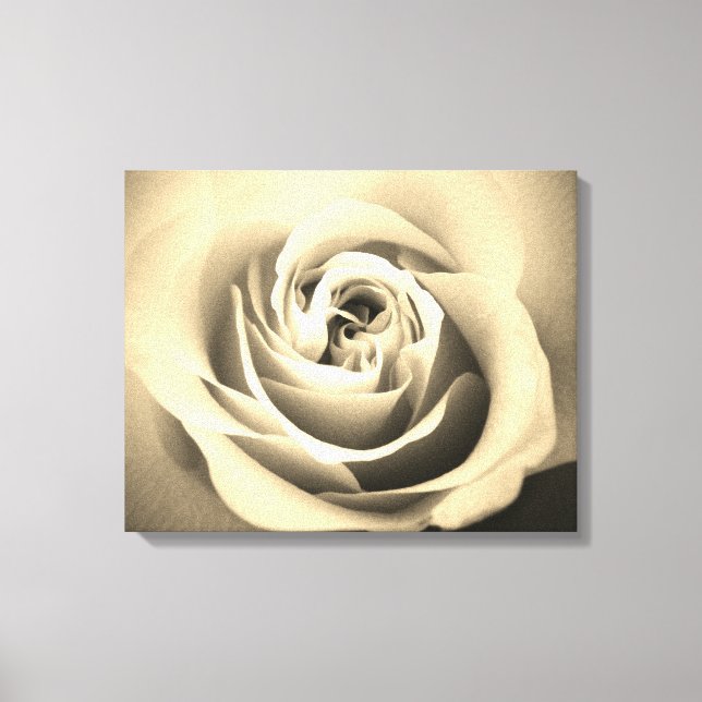 Impressão Em Tela Sepia Rosa (Frente)