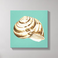 Sepia Striped Shell em Teal