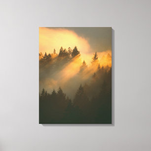 Impressão Em Tela Sequoias vermelhas no nevoeiro costeiro, Condado d