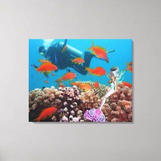 Impressão Em Tela Sereia Mundialmente Famosa.
