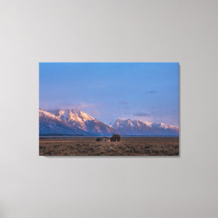 Impressão Em Tela Serena Grande Planície Aberta de Teton
