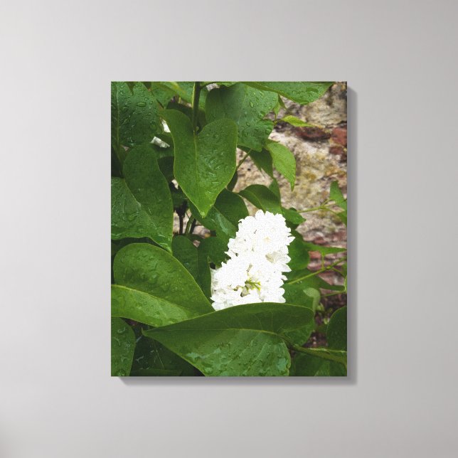 Impressão Em Tela Seringa, Flor Lilac Branco com Colírio (Frente)