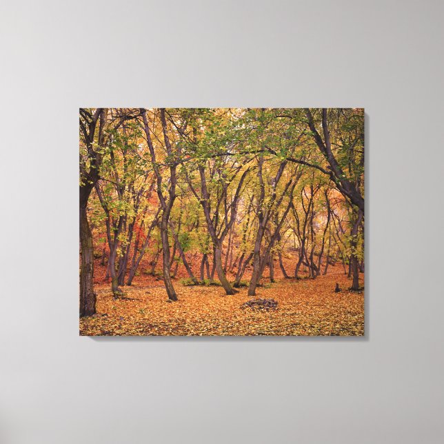 Impressão Em Tela Settlement Canyon (Frente)