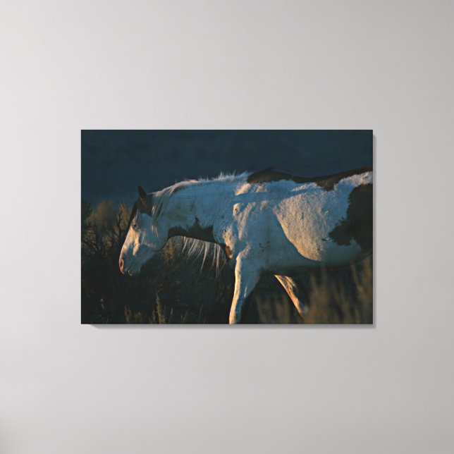 Impressão Em Tela Shaman Medicine Hat Stallion (Frente)