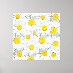 Impressão Em Tela Shasta Daisies