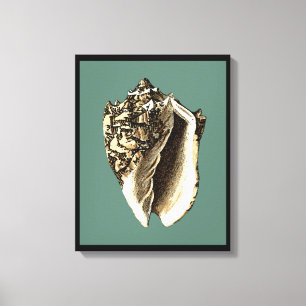 Impressão Em Tela Shell de Conch Teal