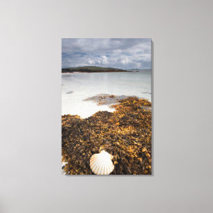Impressão Em Tela Shell e ilha da alga   de Barra, Scotland