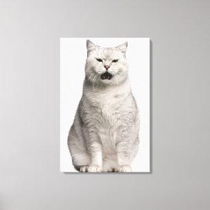 Impressão Em Tela Shorthair britânico (4 anos velho)