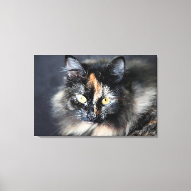 Impressão Em Tela Siberian Cat (Frente)