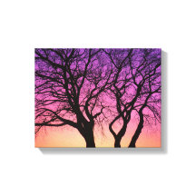 Silhuetas de árvores no Sunset - Impressão de tela