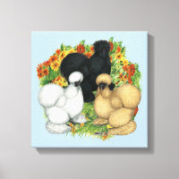 Silkies do Jardim Flor
