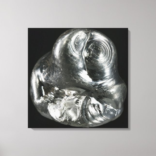 Impressão Em Tela Silver metal (Frente)