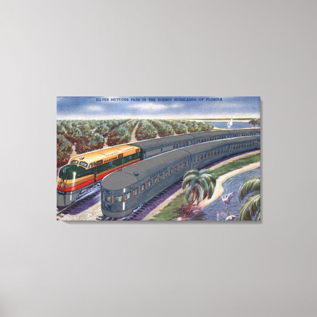 Impressão Em Tela Silver Meteors "Seaboard" nas terras altas da Flór (Frente)