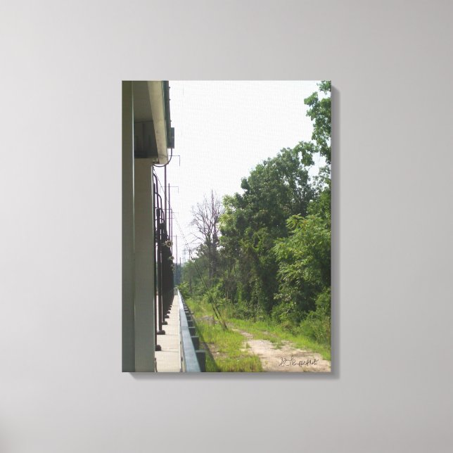 Impressão Em Tela Simetria Industrial e Natural Perfeita (Frente)