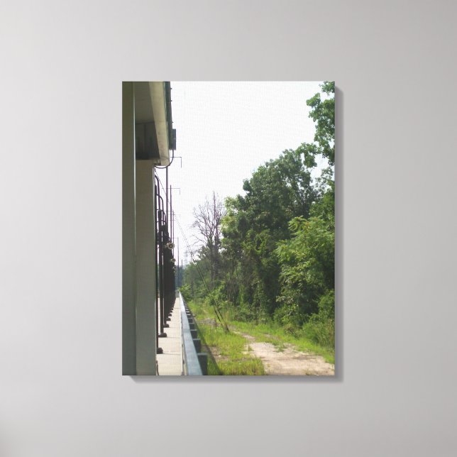 Impressão Em Tela Simetria Industrial e Natural Perfeita (Frente)