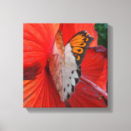 Impressão Em Tela Siping Sweetly