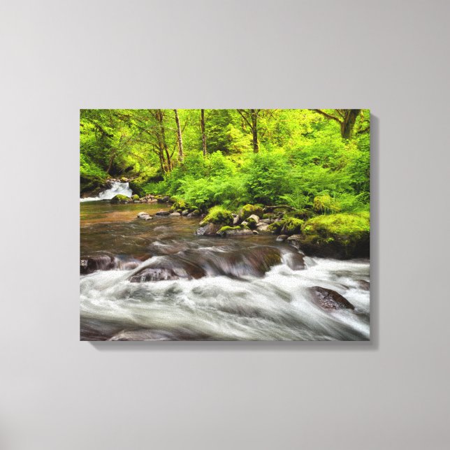 Impressão Em Tela Siuslaw National Forest, Sweet Creek, Oregon (Frente)