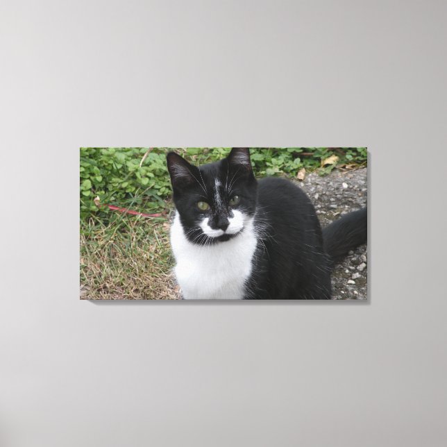 Impressão Em Tela Smiler Charity  (Frente)