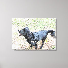 Impressão Em Tela Smokey Espera Para Ir Dar Um Passeio