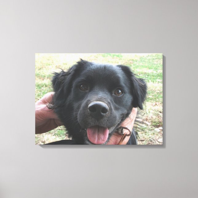 Impressão Em Tela Smokey Posando Para a Câmera (Frente)