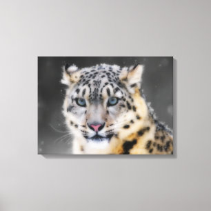 Impressão Em Tela Snow Lepard
