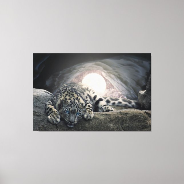 Impressão Em Tela Snow Lepard (Frente)