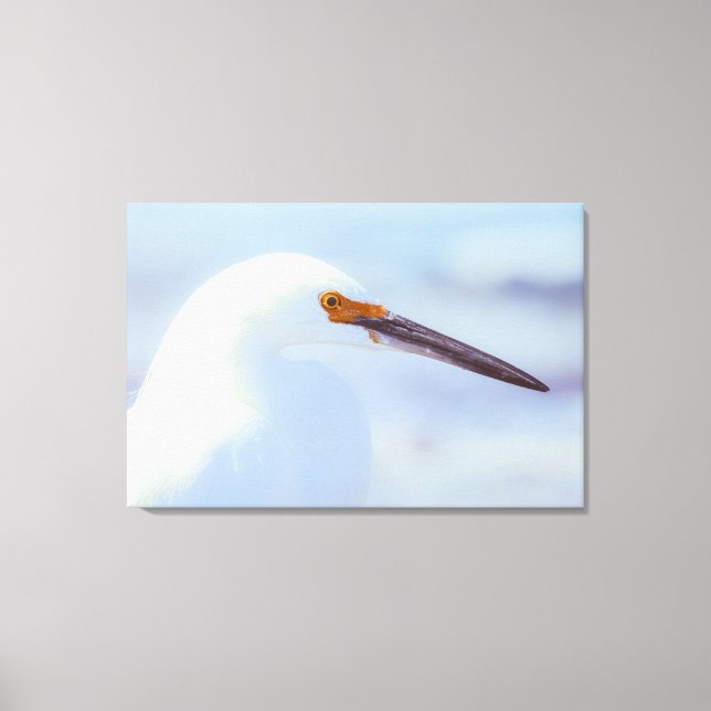 Impressão Em Tela Snowy Egret (Frente)