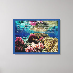 Impressão Em Tela Sob Água