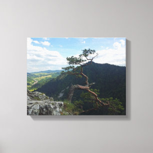 Impressão Em Tela Sokolica, Pieniny