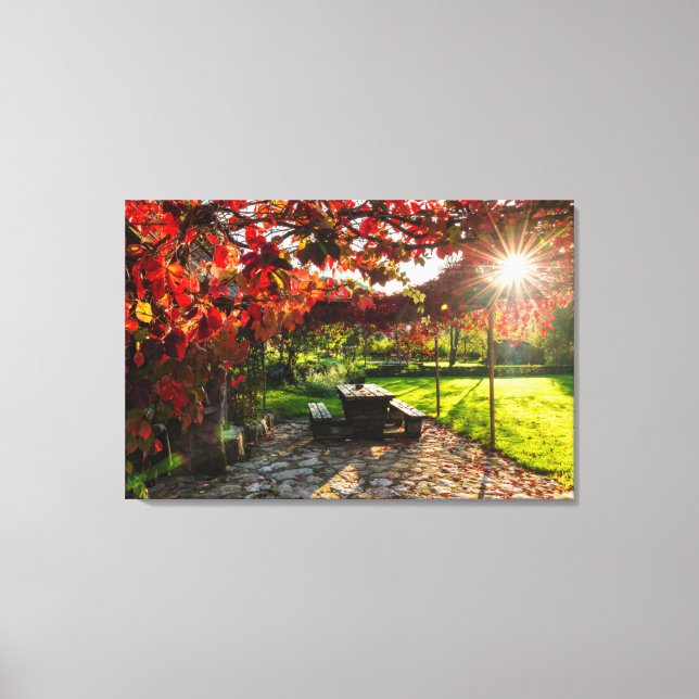 Impressão Em Tela Sol através das folhas do outono, Croácia (Frente)