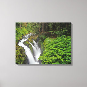 Impressão Em Tela Sol Duc Falls in Olimpiadas National Park