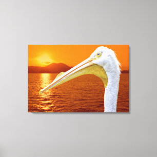 Impressão Em Tela Sol pelicano branco americano