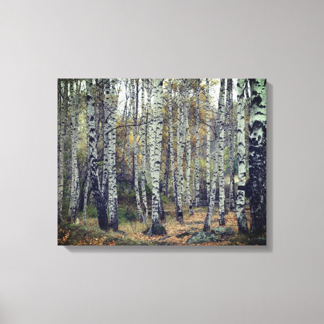Impressão Em Tela Solteiro de Foto do outono de Birch Forrest (Frente)