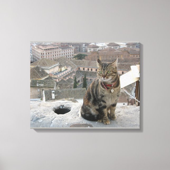Impressão Em Tela Solteiro de fotografia de gato (Frente)