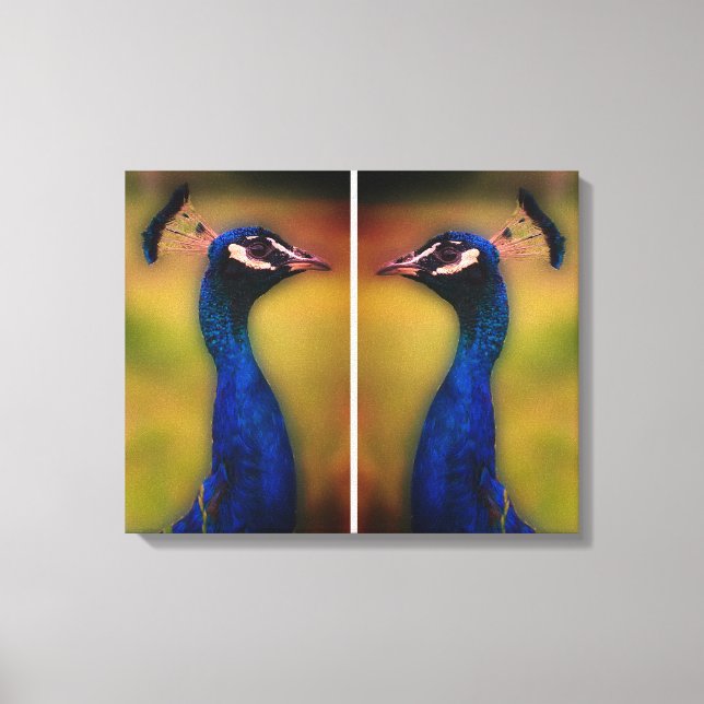 Impressão Em Tela Solteiro de Fotografia Peacock (Frente)