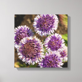 Impressão Em Tela Solteiro de Fotografias das Flores Roxas