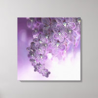 Sombras das orquídeas roxas violetas