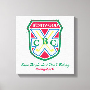 Impressão Em Tela Some People Just Don’t Belong