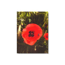 Sonhadora Flor de Papoula – Arte de Fantasia Botân