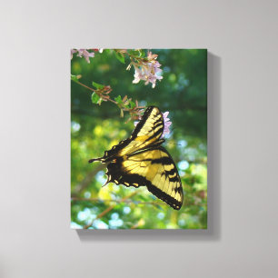 Impressão Em Tela Sonhos de Borboleta