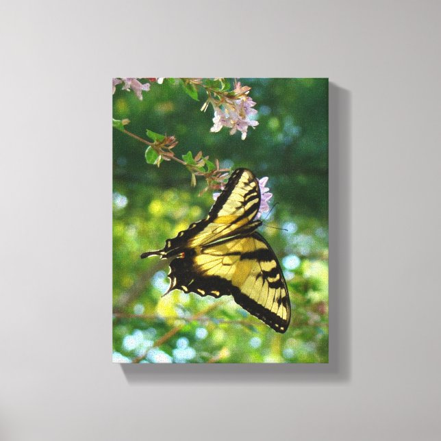 Impressão Em Tela Sonhos de Borboleta (Frente)