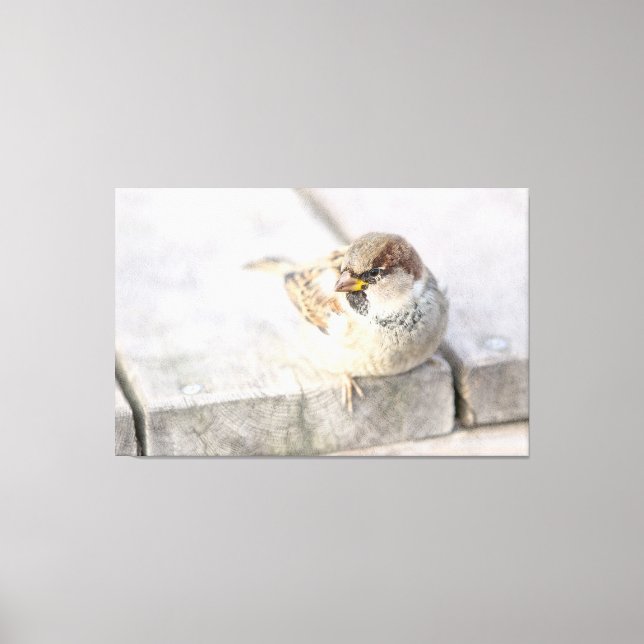 Impressão Em Tela Sparrow - Após o Transatlântico (Frente)