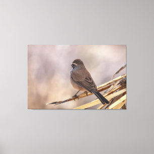 Impressão Em Tela Sparrow em uma ramificação fina