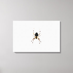 Impressão Em Tela Spider 24x16 (60x40cm) waccn