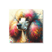 Splash Poodle