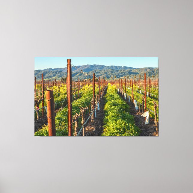 Impressão Em Tela Springtime em um Vineyard (Frente)