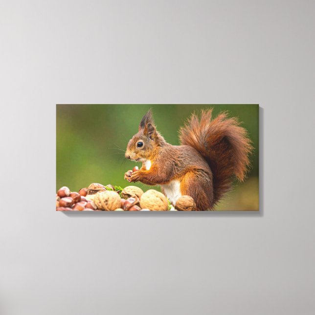 Impressão Em Tela squirrel eating nut (Frente)