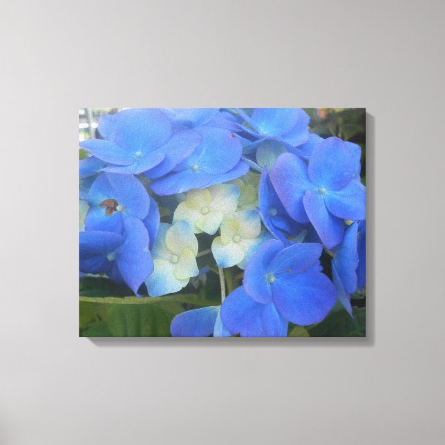 Impressão Em Tela Srtathmore (Frente)